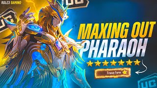 MAXING LEVEL 7 PHAROAH FRENZY FORM 🤩