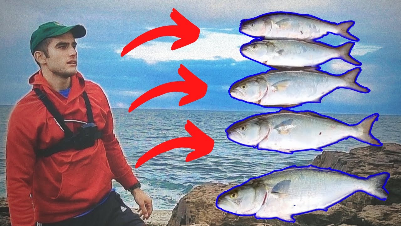 Solo Fishing Remote Location Australia (Lures)