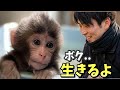 【パンチくん🐵】誠実に命と向き合うことを教えてくれた飼育員さんに世界中から感謝♡