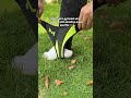 Comment ''ankle'' if you need this!