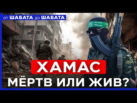YouTube видео