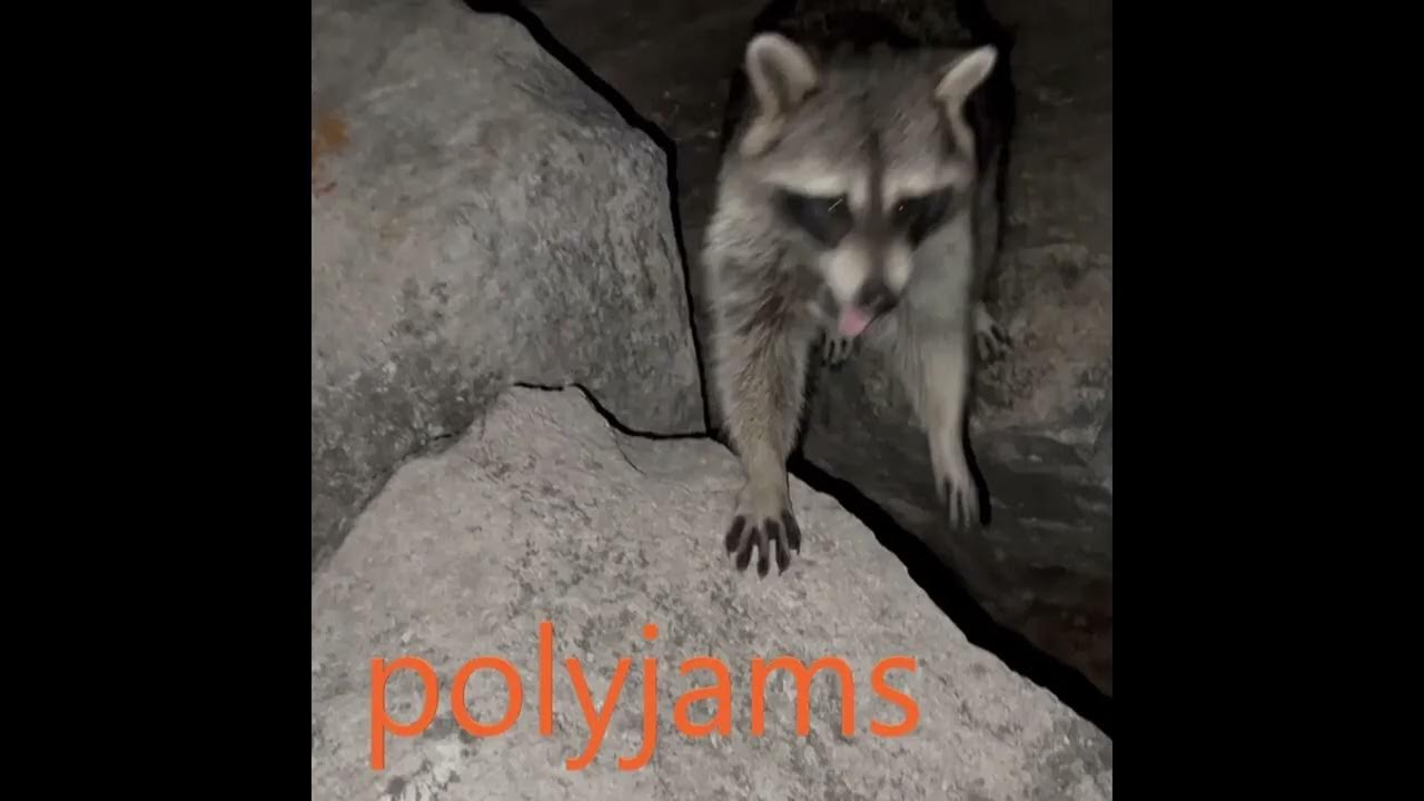 PolyJams2 PolyJams2
