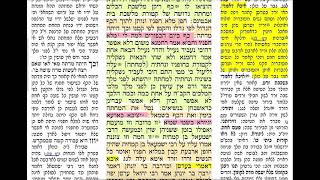 דף יומי מסכת יומא דף מז Daf yomi Yoma daf 47 שמואל יהודה נבון