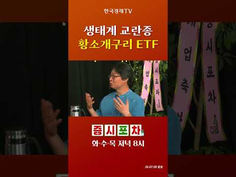 시장의 '<strong>황소개구리</strong>' 생태계 교란종 레버리지 ETF