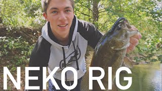 Neko Rig -- How To Rig It And Fish It River Smallmouth