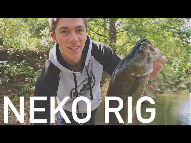 Neko Rig -- How to Rig It and Fish It + River Smallmouth 