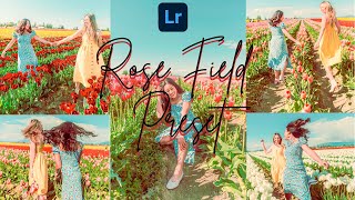 Rose Field Preset | Lightroom Preset | Free Lightroom DNG| down below screenshot 3
