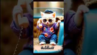 हेलो कौन पापा घर पर नहीं है ☎️📞📞📞☎️☎️☎️☎️☎️#cat #papa #cat #catlover #catphoto #Loldose01🤗🤗cats