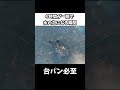 【Only Up!】４時間が一瞬で水の泡になる瞬間ｗ #shorts