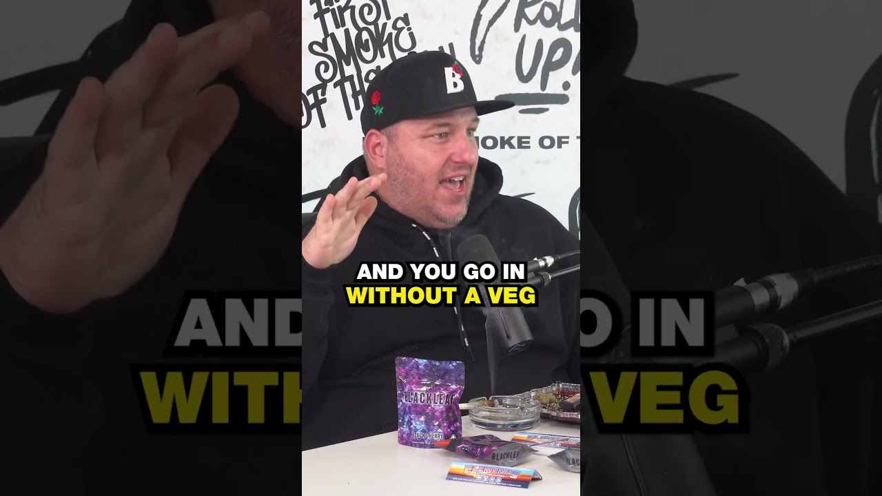 @the_grazer of Northern Emeralds Remembering the O-MEGA garden,