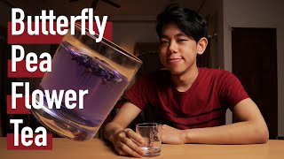 Download Lagu Butterfly Pea Flower Tea (Teh Bunga Telang) MP3