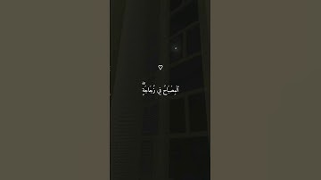 تلاوة خاشعة للشيخ # #ماهر_المعيقلي #اكسبلور #قرآن #القرآن_الكريم