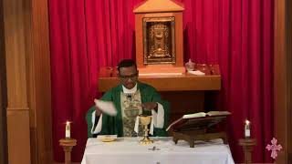 Friday of the Eighth Week in Ordinary Time, 29 May 2026