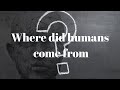 Where Did Humans Come From?