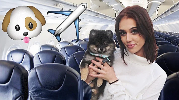 Cute Baby Puppy On a PLANE for the FIRST TIME!! *a...