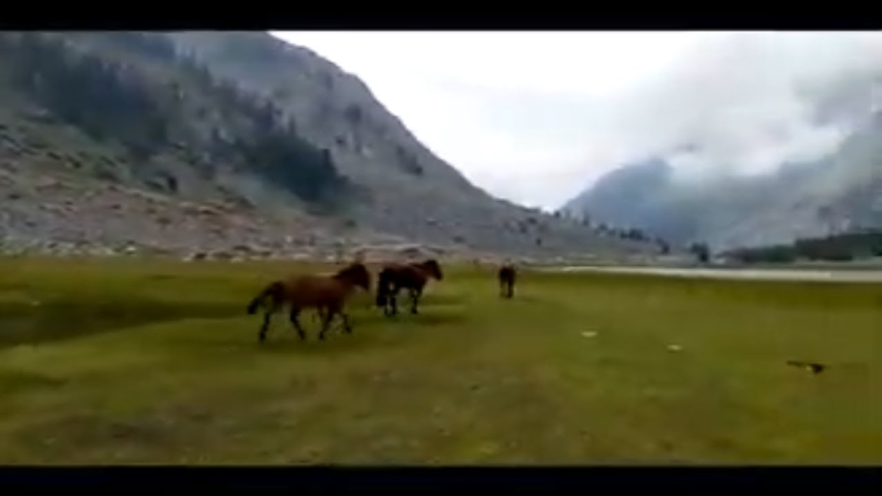 ⁣Mahodand lake kalam valley swat road | Travel with Atif Riaz