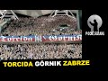 Torcida grnik zabrze  podejrzani