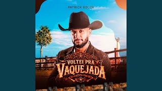 Download Lagu Voltei pra Vaquejada