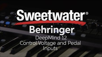 Behringer DeepMind 12 Control Voltage and Pedal Inputs — Daniel Fisher
