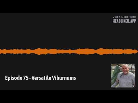 Video: Must Viburnum