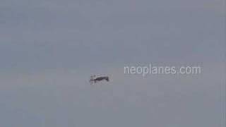Ultimate Biplane 30 - Neoplanes Electric Arf