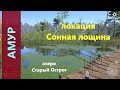 Русская рыбалка 4 - озеро Старый Острог - Амур на смородину с мостика
