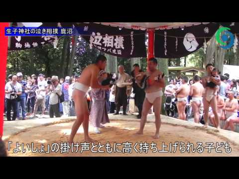 生子神社の泣き相撲 鹿沼