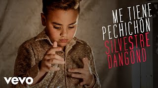 Silvestre Dangond - Me Tiene Pechichón (Official Video) chords