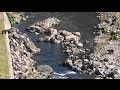 ヒグマがヒグマに遭遇。A brown bear met a brown bear.