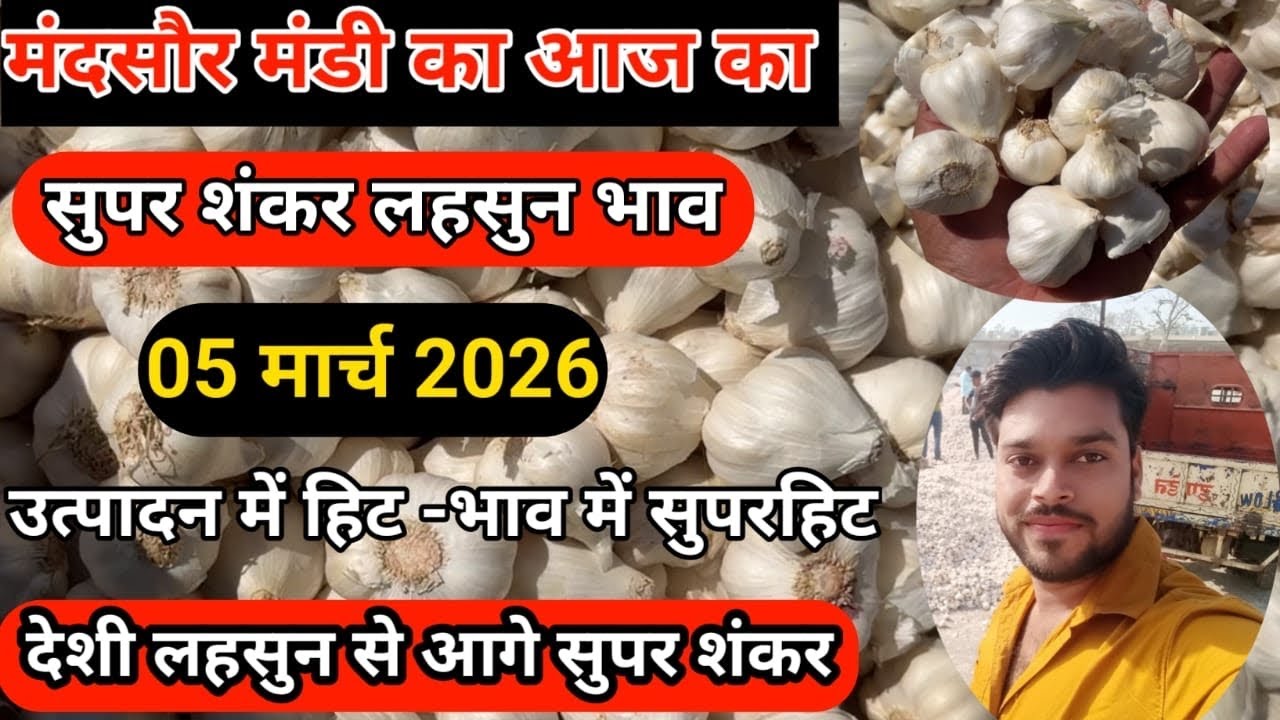 सुपर शंकर लहसुन का भाव 05 मार्च 2026 | Super Shankar Lahsun Ka Bhav | Lahsun Ka Bhav Aaj Ka 