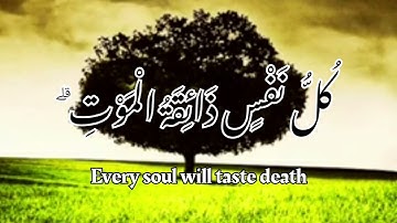 كُلُّ نَفْسٍ ذَائِقَةُ الْمَوْتِ ۗ /الشيخ عبد الرحمن مسعد(سورة العنكبوت )