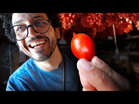 This Italian Tomato is the GOAT (Piennolo del Vesuvio)