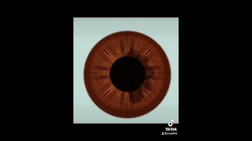 Drawing a realistic eye in procreate ( how to draw an eye)