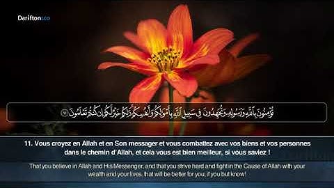 @Sourate As Saff - Muadh Al Eid سورة الصف معاذ العيد(360P)