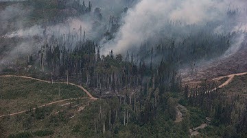 B.C. First Nation dismayed by wildfire damage: Spokeswoman