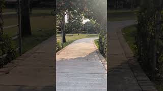 Natural fitness aur nature ka koi muqabla nahi #Naturalfitness #DesiWorkout #Chandigarh #ParkWorkout