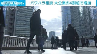 パワハラ相談　大企業の4割超で「増加」(2021年12月12日)