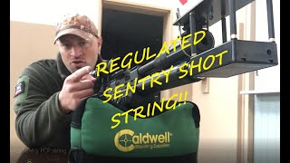 Xisico Sentry Pcp Regulated Shot String