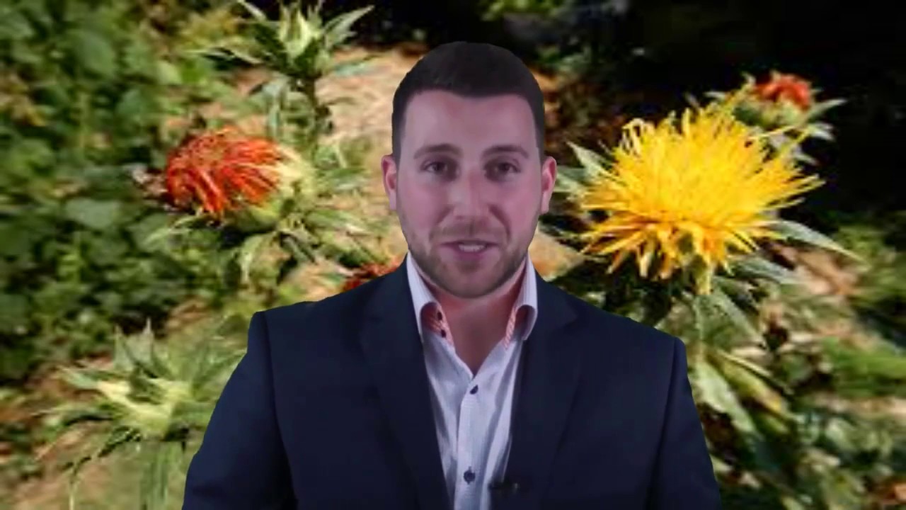 Cla Safflower Oil Review For Weight Loss - Cla Safflower Oil Reviews Amazon