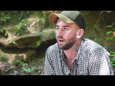 Alive in the Wild: Stories Happen in Forests