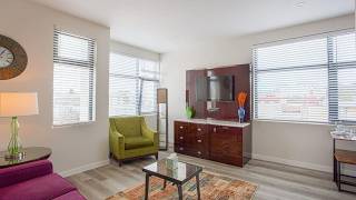 One Bedroom Apartment with Luxurious Furnitures | San Diego (CA), United States | Hotel Review 🛏️