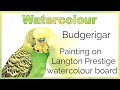 Watercolor Budgerigar // Painting on Langton Watercolor Board