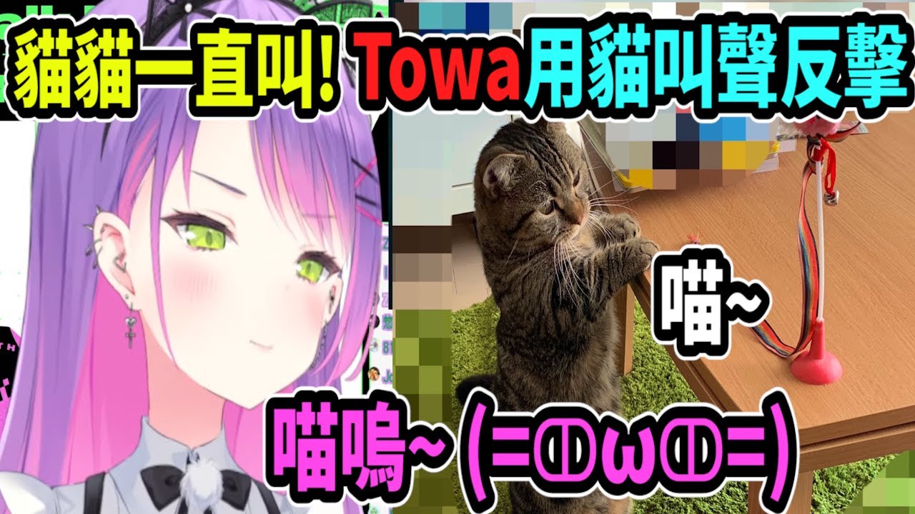 Towa的貓貓跑來叫個不停~所以Towa也開始學貓叫~用叫聲對付牠!!【hololive中文】 【Vtuber精華】【常闇トワ】【とこやみとわ】【常闇永遠】【Towa】