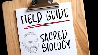Tommy Miller: A Field Guide to Sacred Biology