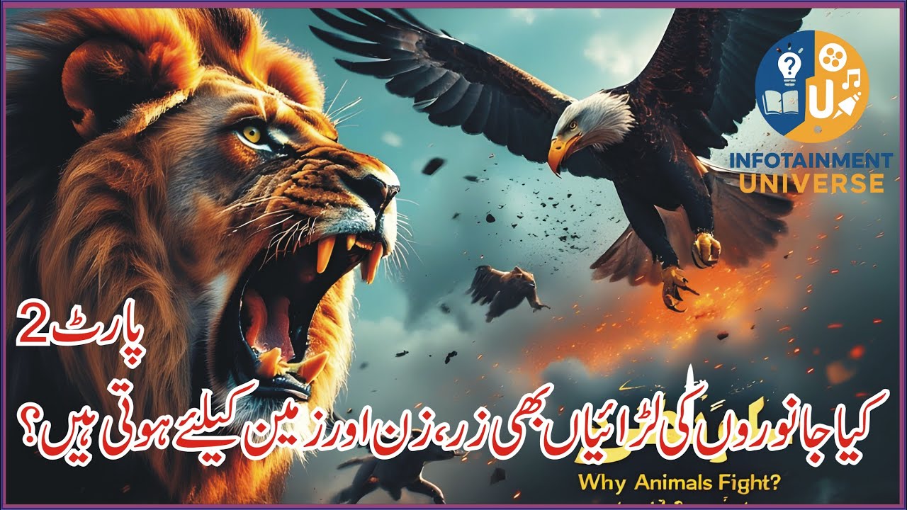 Animal Fights Part 2 – Dramatic Stories of Survival, Territory & Power | InfoTainment Universe
