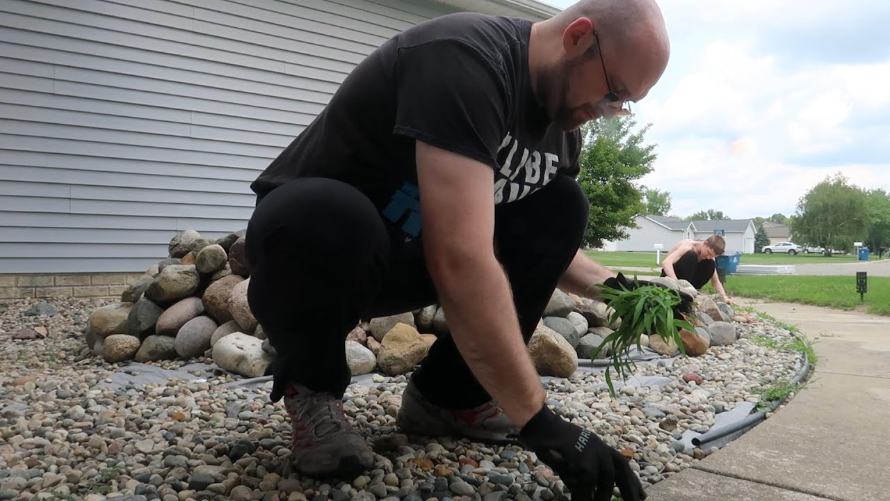 Pulling weeds (Day 229) - YouTube