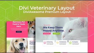 Divi Veterinary Layout - Divi Layouts By Divi Awesome