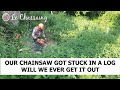 Our chainsaw is stuck in a log will we ever get it out | Logs and Landscapes | #barnrenovation