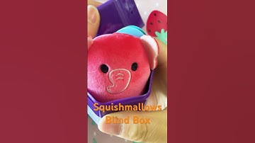 #cute #squishmallows #micromallows #blindbox