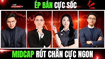 VNIndex ép bán trong hoảng loạn. Cổ phiếu midcap rút chân cực tốt!